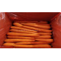 zanahorias frescas zanahorias frescas